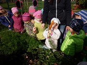 Sklízíme úrodu na školní zahrádce